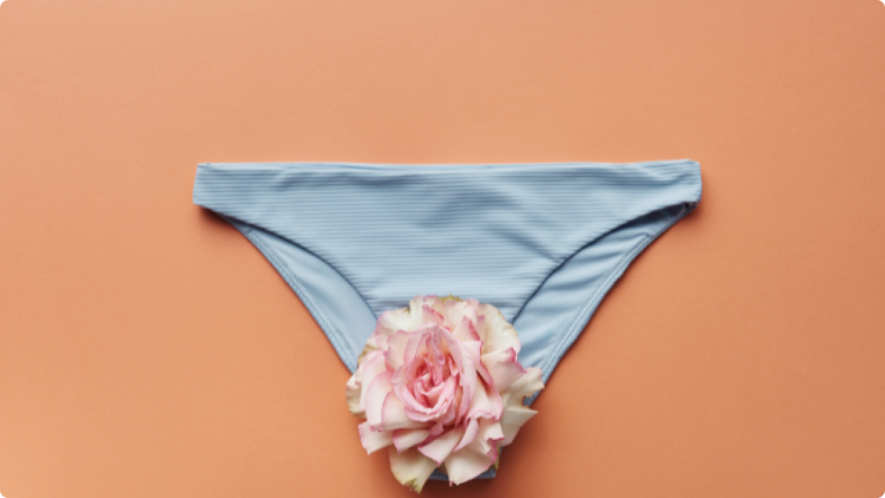 A flower inside an underwear depicting a vagina